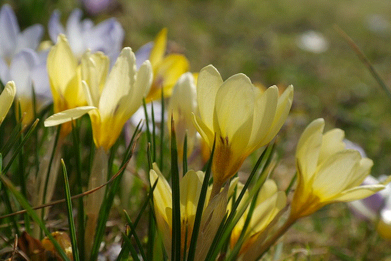 28 februari- Dansavond