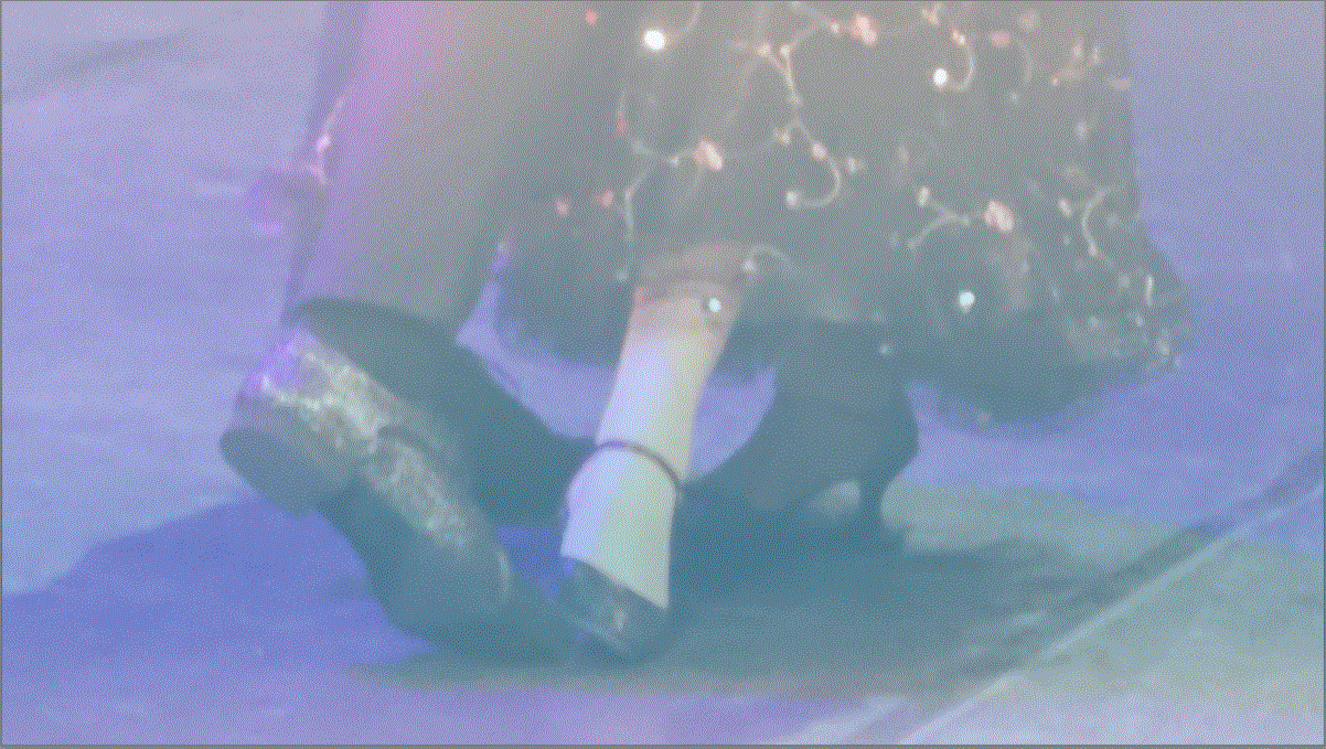 28 maart - Dansavond